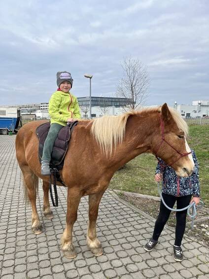 Kůň a já - Střední škola, základní škola a mateřská škola pro sluchově postižené, Olomouc, Kosmonautů 4