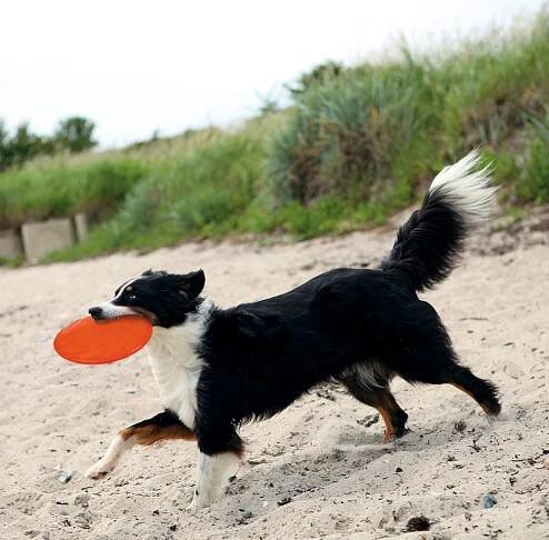 TRIXIE Frisbee pro psy 18cm TX-33505 Značka Trixie