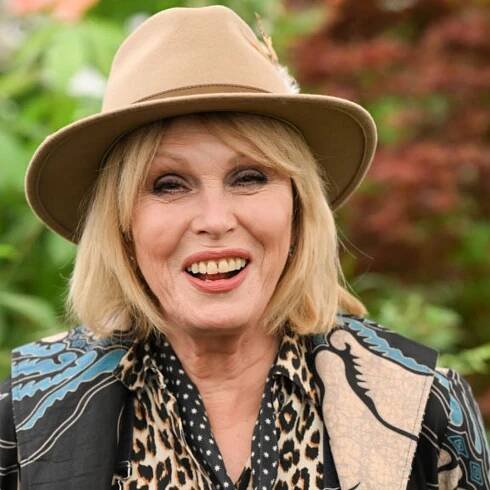 The 'cheap as chips' face moisturiser Joanna Lumley 'adores' for her sensitive skin