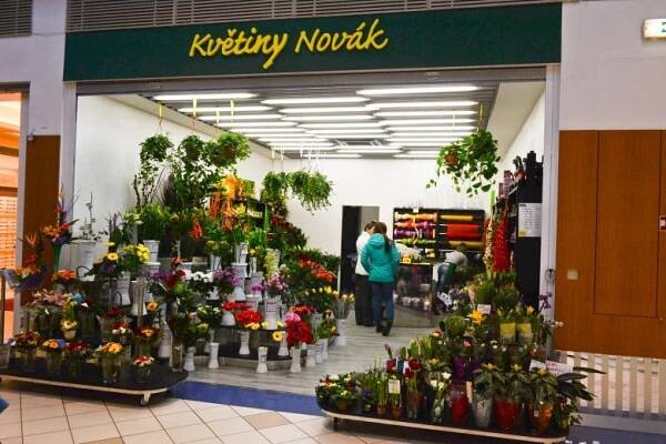 Květiny Novák | Futurum Brno