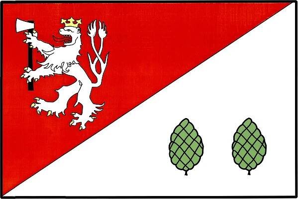 Havlíčkova Borová - vlajka