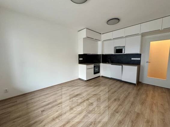Pronájem bytu 1+kk 35 m², Spolková, Brno - Zábrdovice