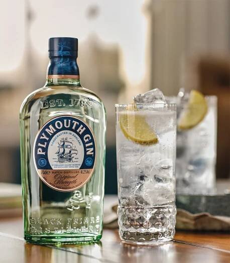 Oslavte International Gin & Tonic Day s top značkami od Pernod Ricard Czech Republic