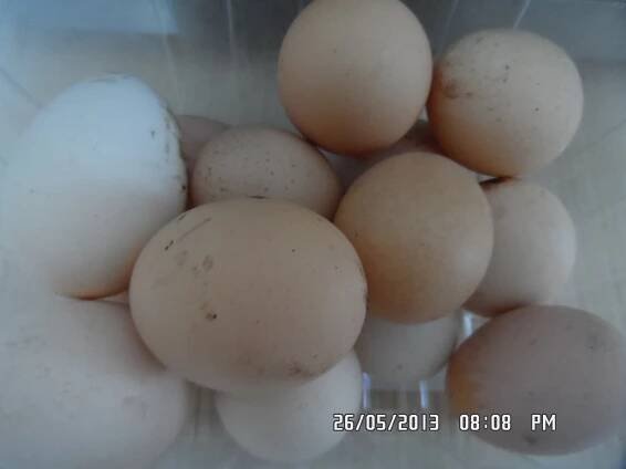 Recept: Lívance 3
