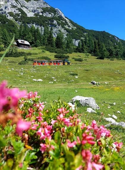 Bummelzug mit Almrausch und Maburgerhütte