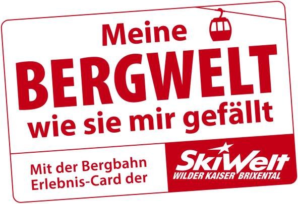 SkiWelt Logos | Offizielle Markenlogos herunterladen