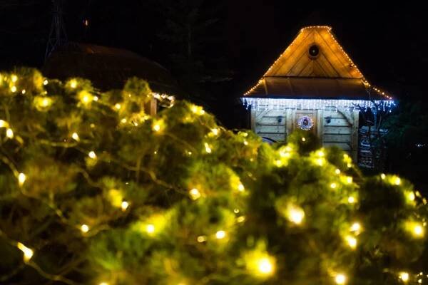 Kladruby v Železných horách se opět oblékly do slavnostního | Vysočina-news.cz