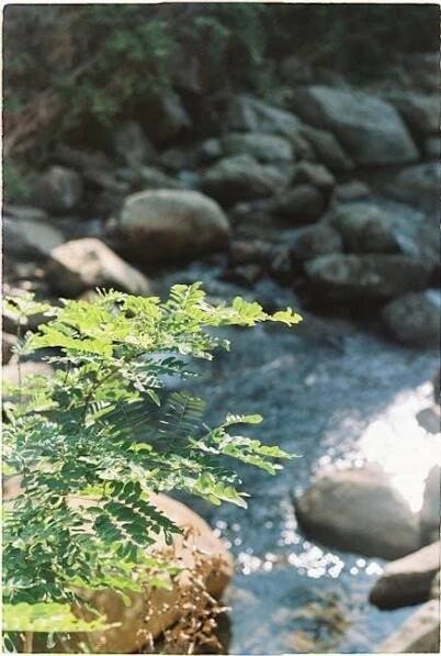 River Flows in You PDF - Download Free