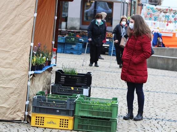 FOTO: Voňavý chléb, klobáska, na zahradu sadba. Trhy se vrátily do Žatce