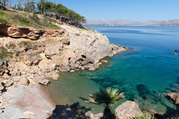 JS Sol de Alcudia