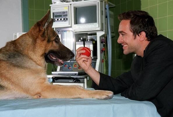 Komisař Rex - Vitamíny na smrt (S09E04) (2003)