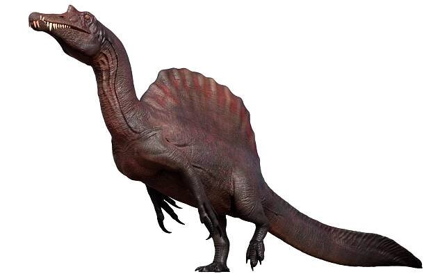 Theropoda