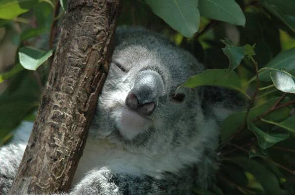 Australia-Cairns_0251