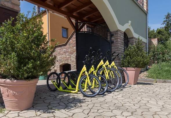 Fojtova Studna - Apartmány, Sedlec | Hotel.cz