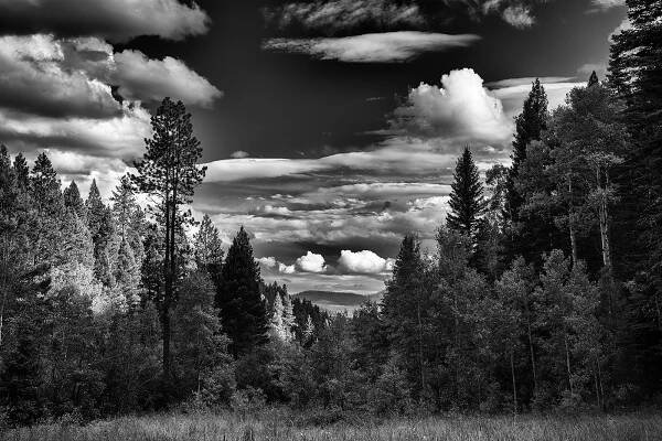 Holy Ghost trail, Pecos Wilderness