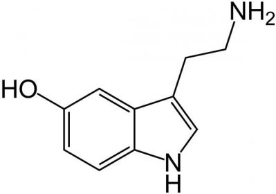 Soubor:Serotonin-skeletal.png – Wikisofia