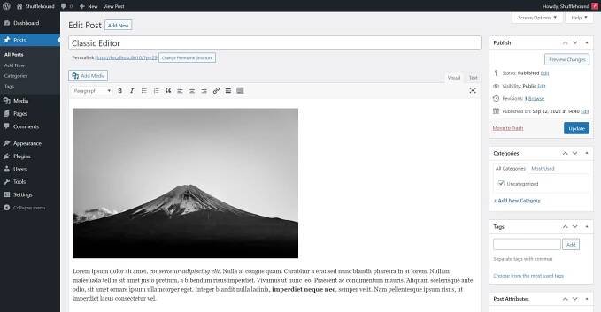 How to Duplicate a Page in WordPress 2023 (3 ways)