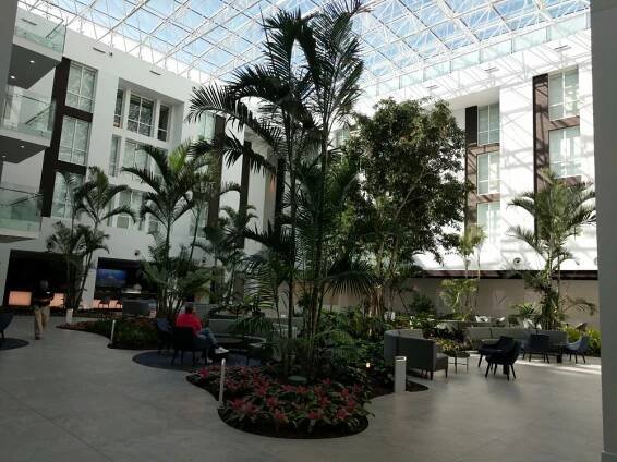 Large Trees and Plants - Botanicus