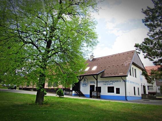 Slovácká obec - Kuželov