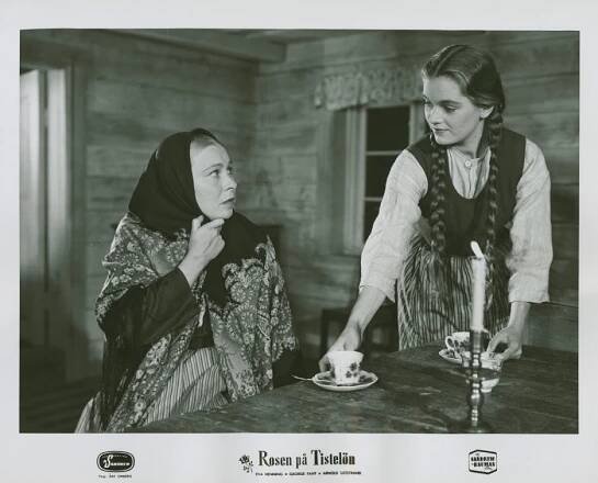 Marianne Löfgren, Eva Henning - Rosen på Tistelön - Fotosky