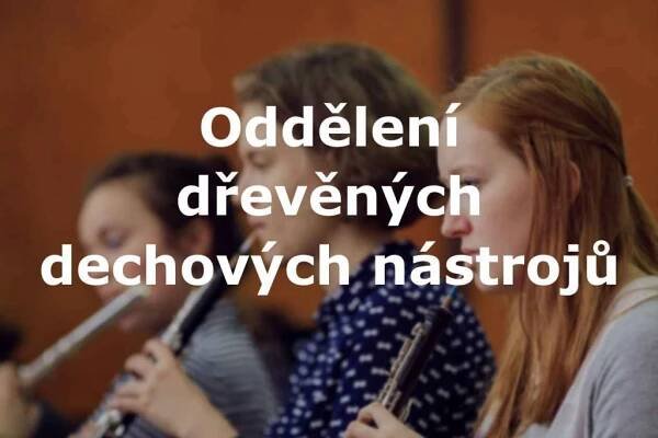 foto s nápisem Oddělení dřevěných dechových nástrojů