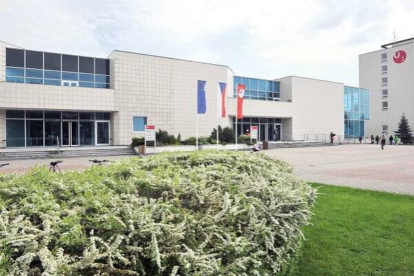 Chemici z Pardubic umí včas odhalit rakovinu slinivky. Univerzita nově získala patent