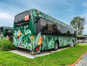 Gallery | The Bus Collective