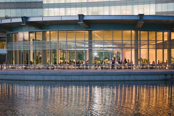 Cafe Globe String Lights | Esplanade Lakes