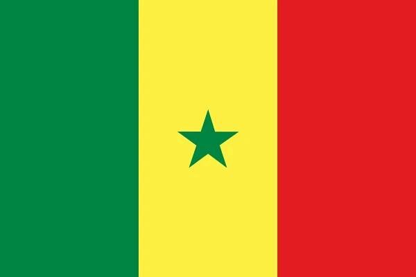 Senegal Government and Media Profile