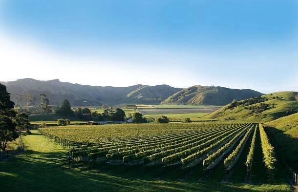 Gisborne Wine Region | New Zealand | Villa Maria Wines
