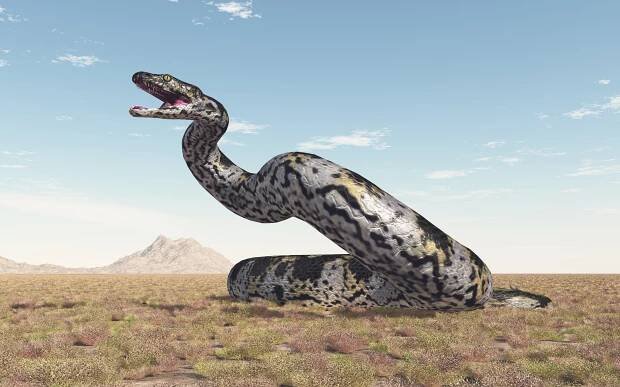 Titanoboa: Skutečný titán mezi hady