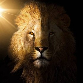 Lev - znamení zvěrokruhu