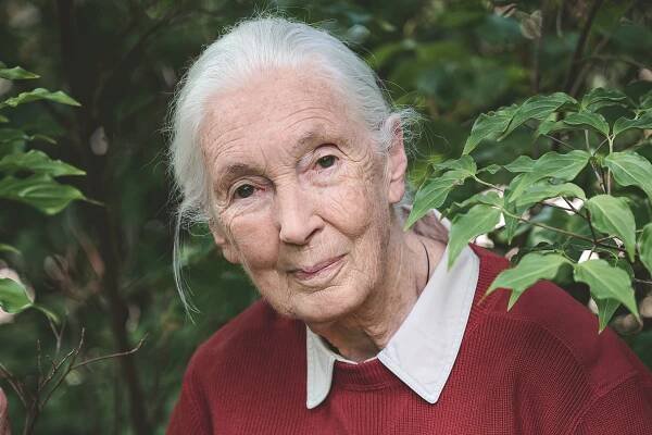 Image may contain Jane Goodall Face Happy Head Person Smile Photography Portrait Senior Citizen and Clothing