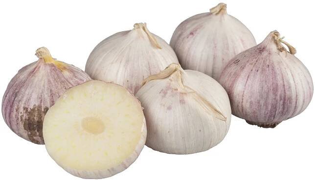 Cesnak 1.tr. 1kg