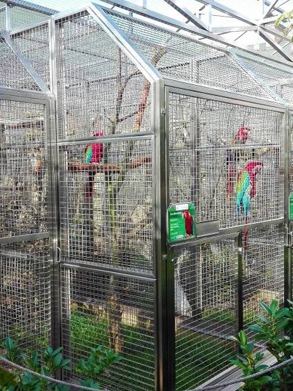 Papouščí zoologická zahrada, Bošovice - ŤAPKÁME.CZ