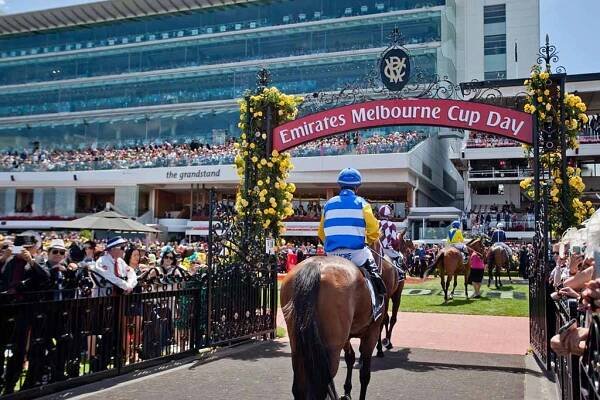 The Top Ways To Pick A Winner for Mobile Melbourne Cup Wagering