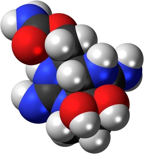 File:Saxitoxin-3D-spacefill.png - Wikimedia Commons