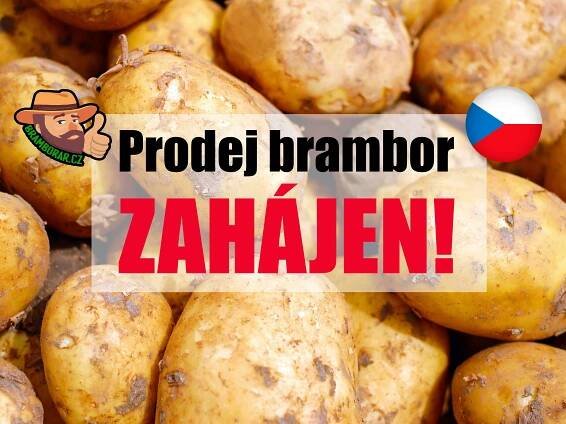 Spouštíme prodej nových brambor!
