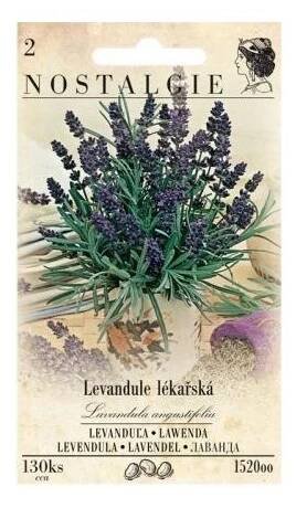 Levandule lékařská - NOSTALGIE - Zahradnidum.cz