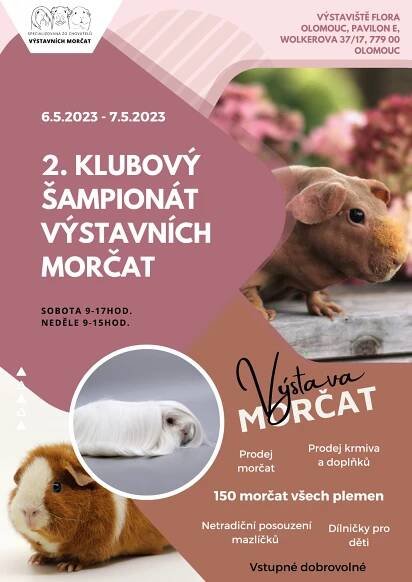 Výstava morčat | Výstaviště Flora Olomouc, a. s.