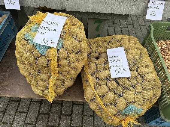 Olomoucká tržnice po zimě ožívá. Co už tam prodávají a za kolik