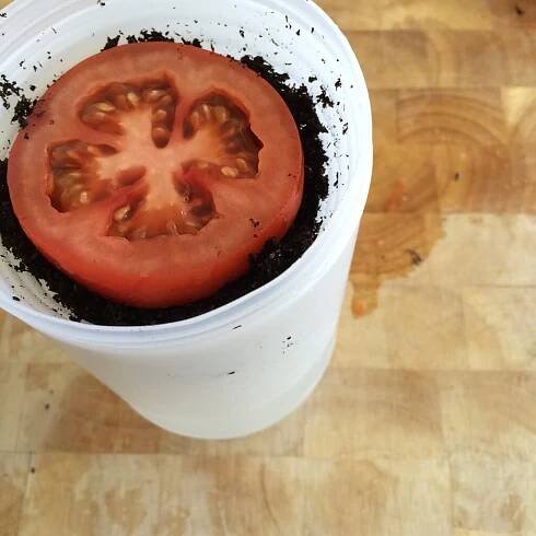 a close up of a tomato in a blender on a wooden table with black stuff