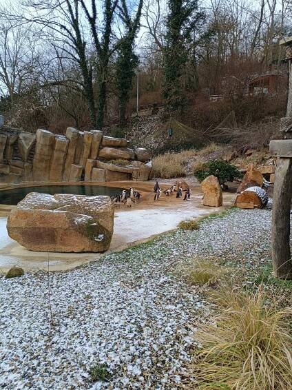 ZOO Ústí nad Labem, Biskupský pivovar v Litoměřicích a Centrum volného času Měšice – Krajánek Rádia BLANÍK