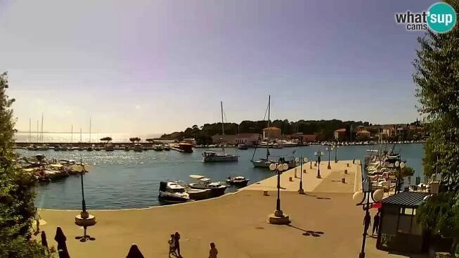 Webcam Krk – marina