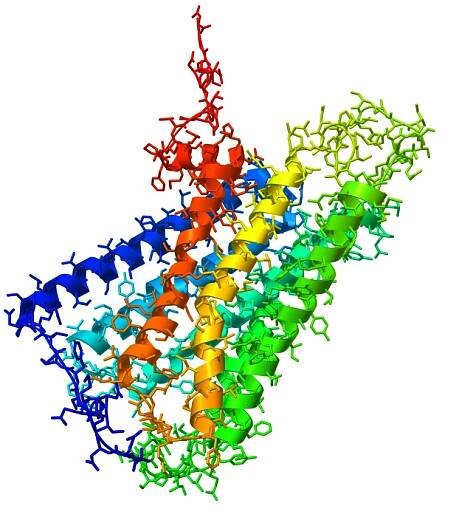 Cannabinoid-Rezeptor 1 – Wikipedia