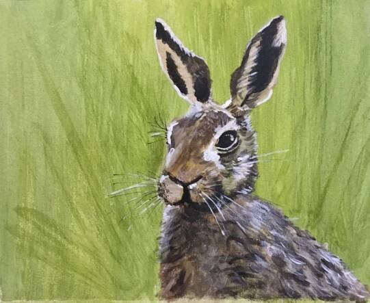 Kevin Walker: Artist, Writer and Storyteller » Wildlife.
