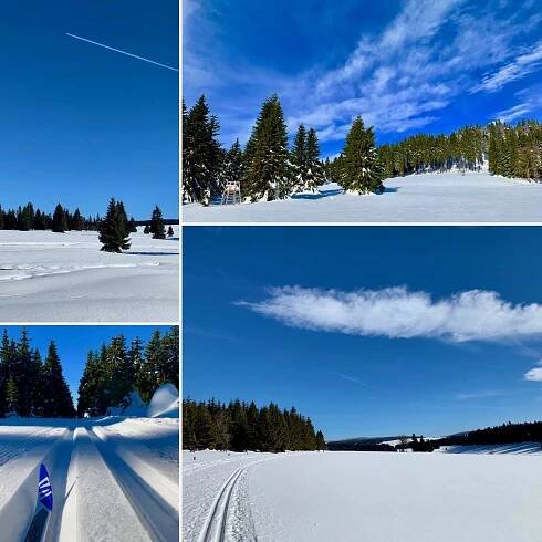 a collage of four pictures of snow and trees at Apartmán SKI Plešivec in Abertamy