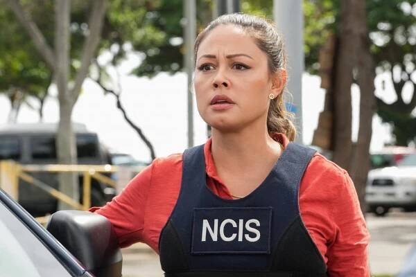 Námořní vyšetřovací služba: Hawai - Good Samaritan (S02E15) (2023)