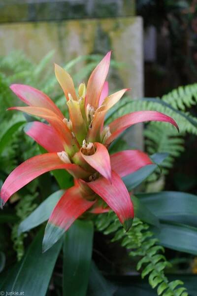 Visit at the Butterflygarden in Vienna – junkie.at