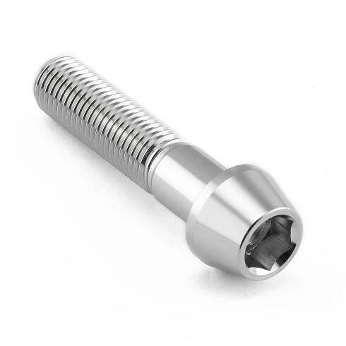 Pro-Bolt nerezový inbusový šroub s kónusovou hlavou se závitem M10 x 1,25 mm a délkou 45 mm, barva leštěná